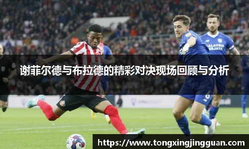 谢菲尔德与布拉德的精彩对决现场回顾与分析