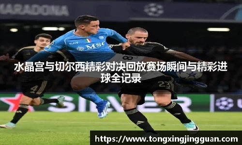 完美体育平台