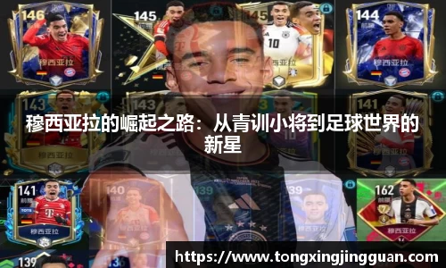 完美体育