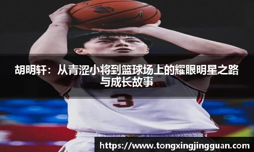 完美体育官网