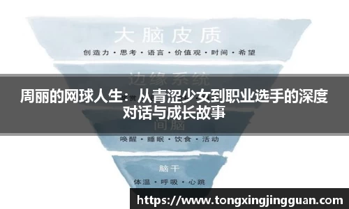 完美体育APP