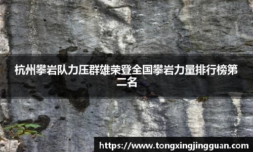 完美体育官网