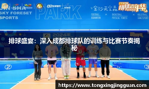 排球盛宴：深入成都排球队的训练与比赛节奏揭秘
